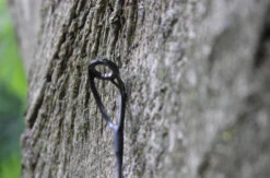 Ashima Travel FFX-S 10ft 3m 3.25Lb 7 Ashima Travel FFX-S 10ft 3m 3.25Lb -Viswinkel 4a7d69384d52c63c