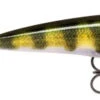 Rapala X-Rap 8cm Live Perch -Viswinkel 81f71308fb24c3ba