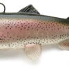 Castaic Swimbait Trout Sinking Rainbow Trout 15cm 1 Castaic Swimbait Trout Sinking Rainbow Trout 15cm -Viswinkel b9e02db77631b77d
