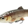 Savage Gear 4D Line Thru Pulsetail Trout Slow Sinking Lemon Chub 25cm (202g) 1 Savage Gear 4D Line Thru Pulsetail Trout Slow Sinking Lemon Chub 25cm (202g) -Viswinkel e119bb90b3c3cb8f
